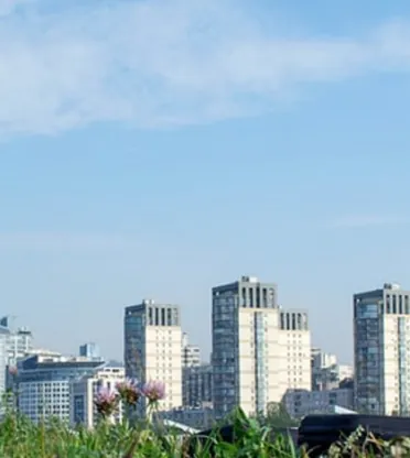 Межевой план в 2024: что нужно знать