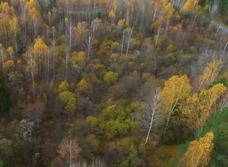 ФГУП "Управление Гостиничным Хозяйством" МO РФ